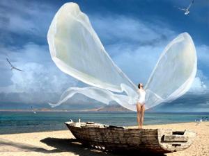 wings on shore
